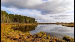 Томская область