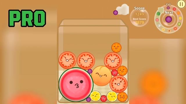 WATERMELON GAME - NOOB vs PRO vs HACKER Suika Game