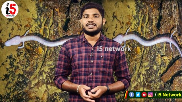 ప్రపంచంలో అరుదైన రికార్డ్ చేసుకున్న వింత జీవి । European Cave Salamander stayed without Moving смотреть онлайн