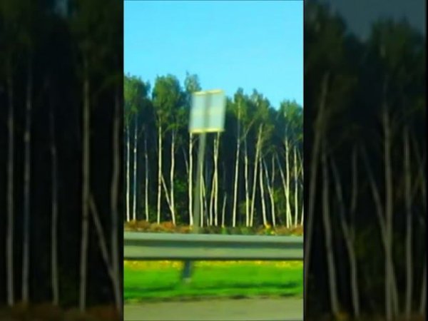 Тамбовские Берёзы