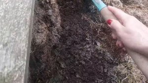 Редис от А до Я в природном земледелии