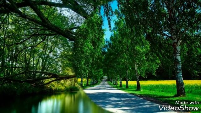 Лето ( Красивые фото ) смотреть онлайн