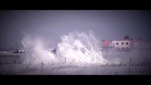 Курицы Ответ Мерседесу.  Прикольная реклама Ниссан.