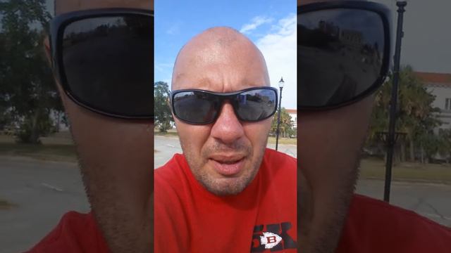 анунаки рептоиды рептилоиды инопланетяне пришэльцы плеяды плеядианцы конспирацыя 82