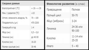 ✔ Подгрызающие совки. Меры борьбы и профилактики против совки.