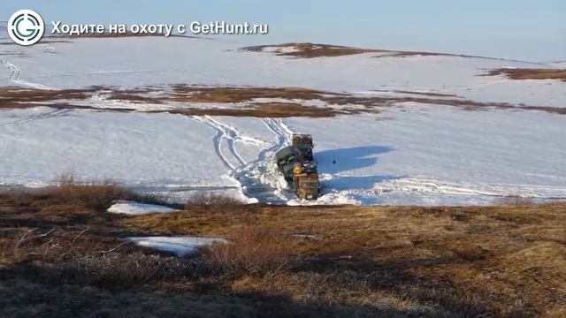 Охота в Самарской области – Охотхозяйство "Челно-Вершинское" охота на лося в Самарской области смотреть онлайн