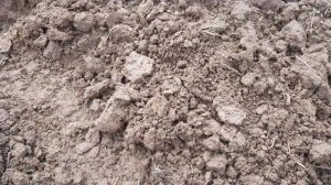 Коп на не выбитом поле с Гаррет Ат Про!!!