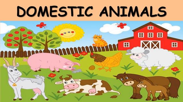 Animals, Animals For Kids, Wild Animals, Domestic Animals, Animals With Pictures , Learn Animals