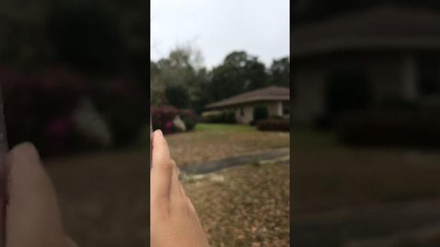 Walking the dog 🐕 смотреть онлайн