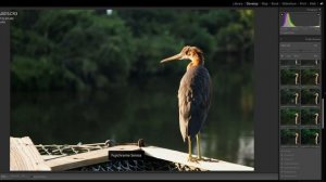 What I really love about the Canon R7 :: Full Review