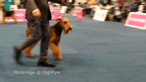 German Winner Show 2017, Airedale Terrier, Dogs