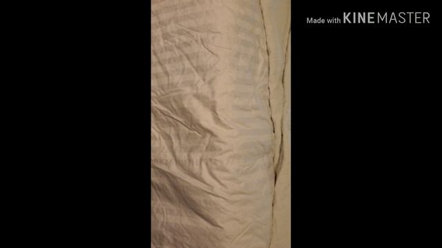 Vlog День из Жизни "Избавляйтесь от Чужих и Старых вещей" смотреть онлайн