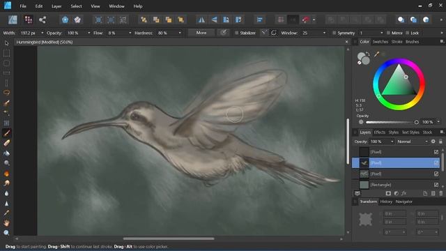 Hummingbird Speed Paint in Affinity Designer | Digital Painting смотреть онлайн