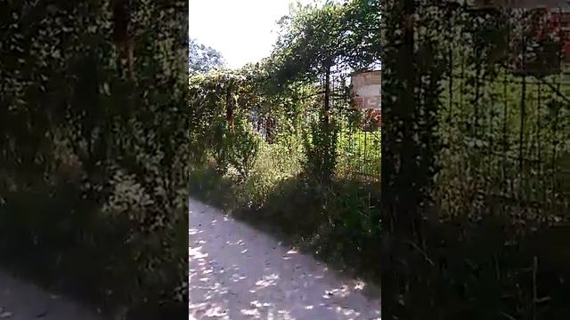 Что значит для меня принять и удержать частоту. Общение в чате Сообщество Золотая Раса смотреть онлайн