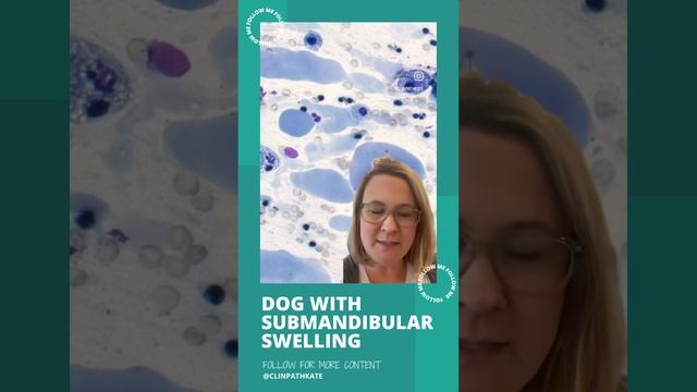 Cytology Case Clips: Dog with Weird Submandibular Swelling смотреть онлайн