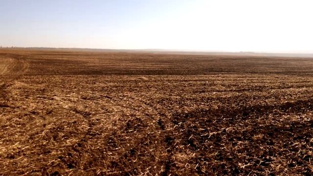 Мороз -5℃. Отсутствие влаги. Отсутствие всходов озимых зерновых. Запорожская область 20.10.2021 смотреть онлайн