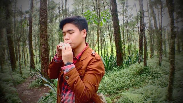 The Foggy Dew - Celtic Ocarina смотреть онлайн