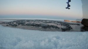 Первый лед ОВХ 25.11.2017 ловим судака