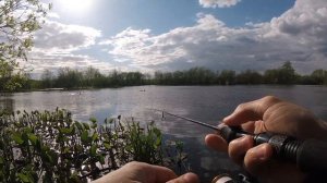МОРМЫШИНГ В МАЕ! СПИННИНГ С ТЕСТОМ 0.5-1g #мормышинг #fishing