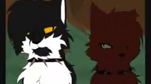 Клип коты-воители Бич.