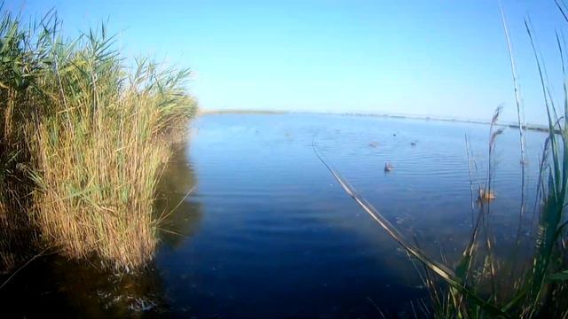 Открытие охоты на утку 2017, Как оно было. смотреть онлайн