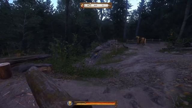 Kingdom Come: Deliverance - спаситель игровой индустрии? Обзор Kingdom Come: Deliverance.