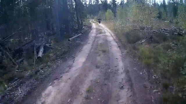 Медведь и лесник смотреть онлайн