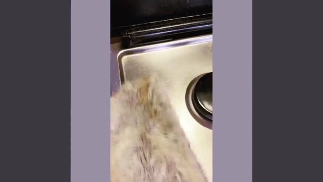 Как деток приучить к уборке смотреть онлайн