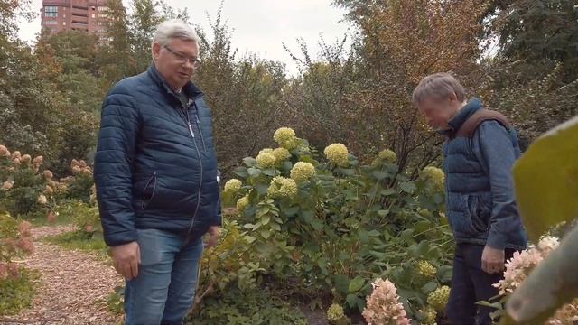 Аптекарский огород осенью. Что цветет в самое дождливое время года?