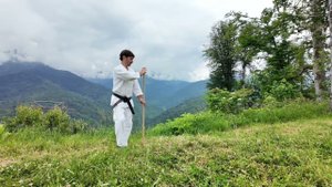 Дзё субури #2 "Гаеши дзуки" Техника выполнения