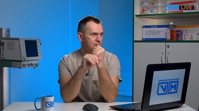 Как поставить уши у собаки смотреть онлайн