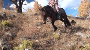 За тайменем. Ганбаатор на грани гибели - экспедиция на грани провала