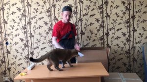 Оборудование для химчистки химия для чистки мягкой мебели