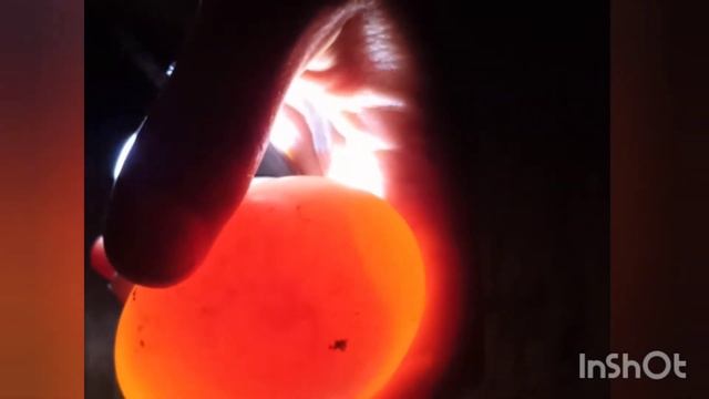 ОТБОР ЯИЦ ДЛЯ ИНКУБАЦИИ смотреть онлайн