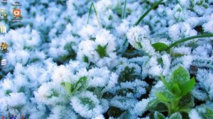 World of Tanks - При запуске игра сворачивается и неразворачивается