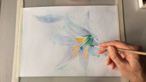 Мастер класс. Рисуем цветок лилии акварелью. Часть 1.