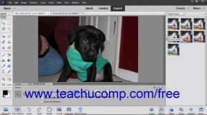 Photoshop Elements 2019 Tutorial Applying Effects Adobe Training