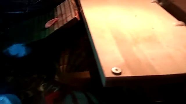 Красноухая черепаха ест креветки смотреть онлайн