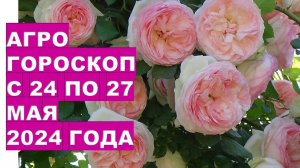 Агрогороскоп з 24 по 27 травня 2024 року Agrohoroscope from May 24 to May 27, 2024