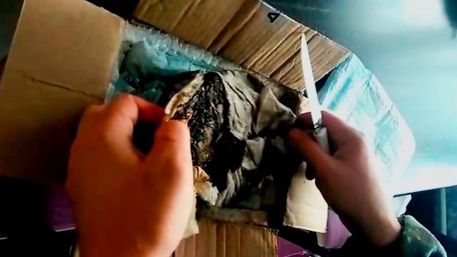 ПАН68. Дождевые черви зимой. Заморозка дождевых червей. смотреть онлайн