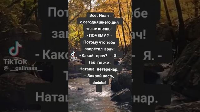 #анекдоты