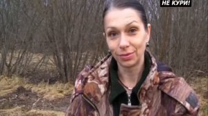 Шведский Элкхаунд. Испытание по лосю . 2018