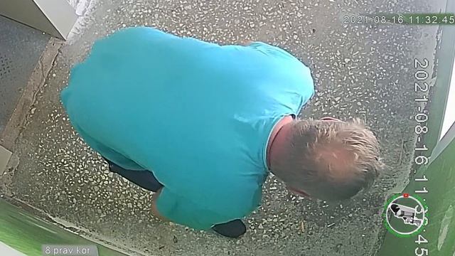 Нагадил в подъезде. смотреть онлайн