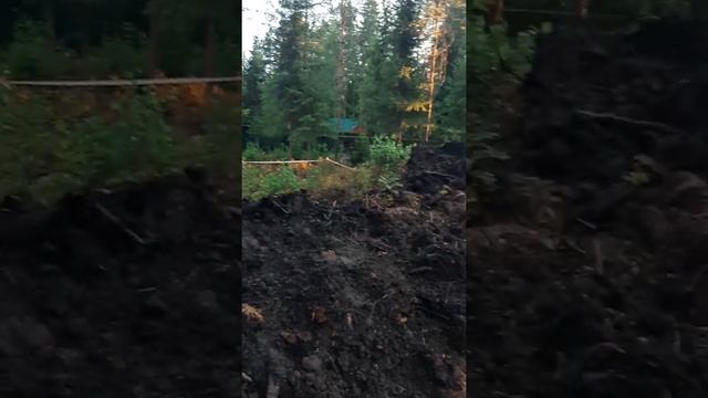 Выторфовка под фундамент 1 день