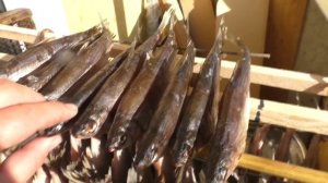 КАК ВКУСНО ПОСОЛИТЬ, И ЗАВЯЛИТЬ СОРНУЮ РЫБУ,