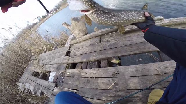 Щука на спиннинг в декабре. Побил свой рекорд. смотреть онлайн