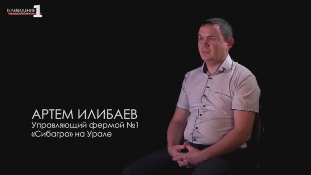 Люди "Сибагро": Артем Илибаев, свинокомплекс на Урале