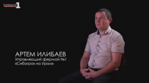 Люди "Сибагро": Артем Илибаев, свинокомплекс на Урале