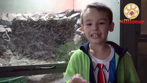 Челлендж ЗОО квест найди животных в зоопарке ? ??