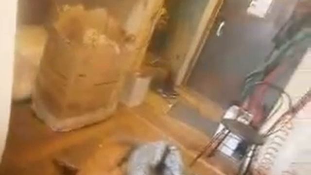 Что происходит с кокосом в матрасе через три года смотреть онлайн